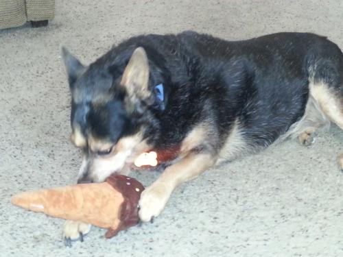20130521 114624